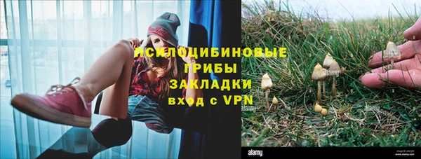 мдпв Михайловка