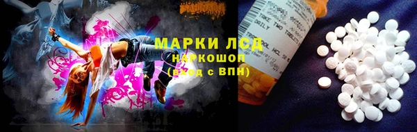 стафф Великий Новгород