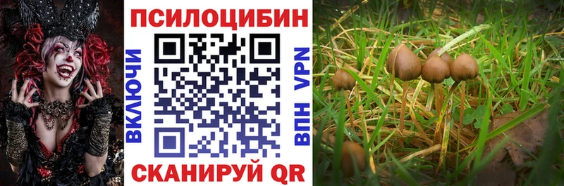 Галлюциногенные грибы мицелий shop какой сайт Торопец купить сайты